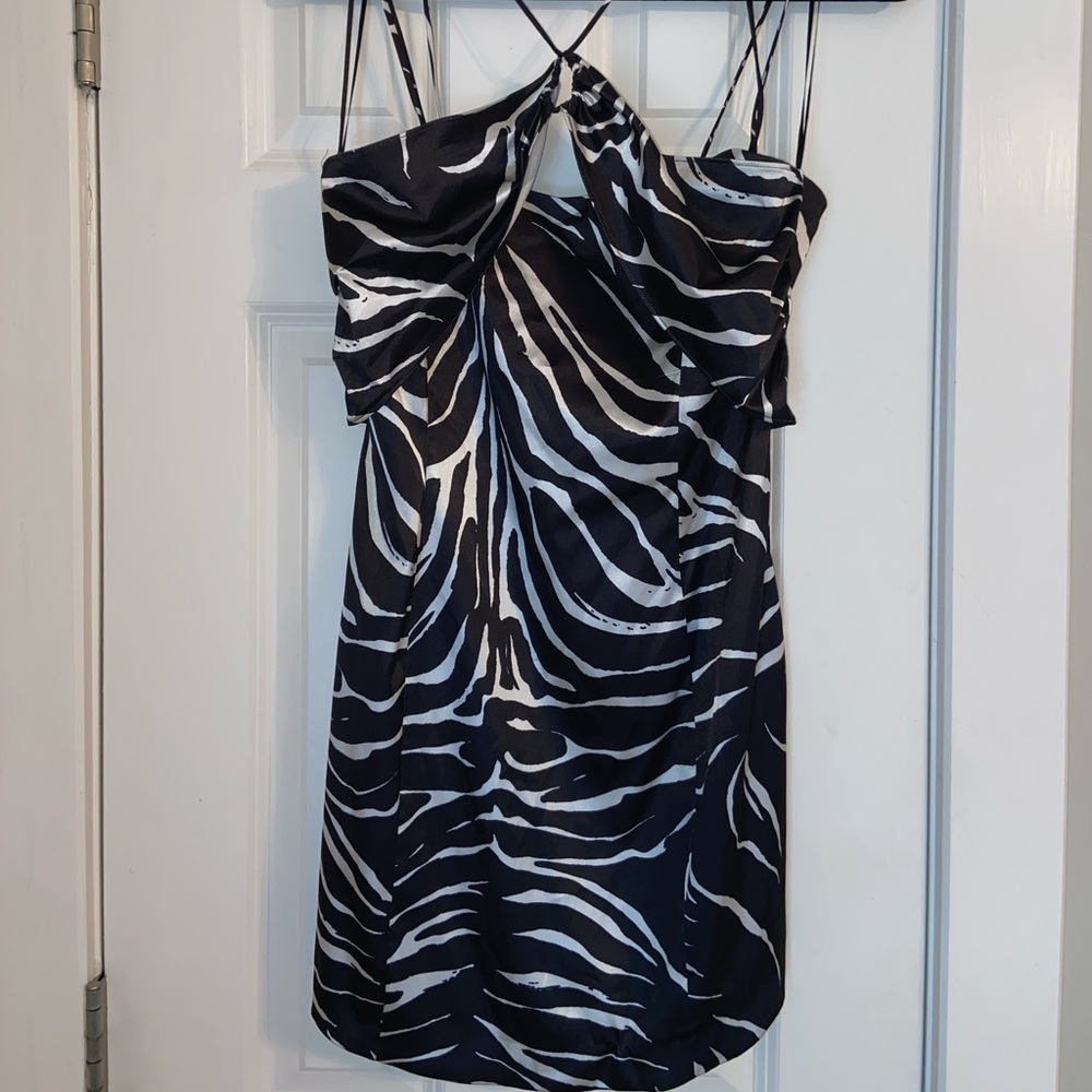 Zara zebra silk dress